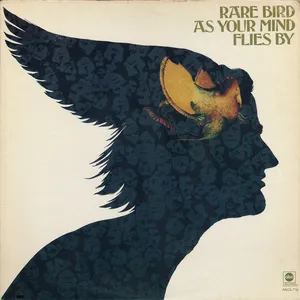 As your mind flies by